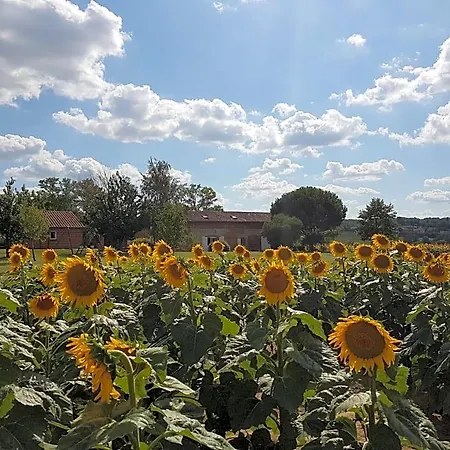 Les Hauts De Sames